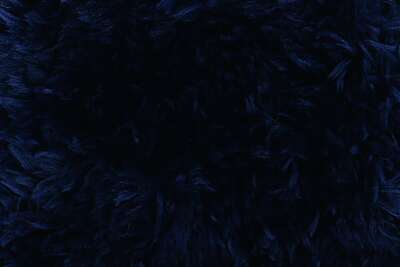 Schachenmayr Teddy für alle Felle Farbe 0099 night Schachenmayr Teddy für alle Felle Farbe 0099 night